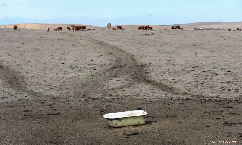 Climate Change Doubles U.S. Risk of a Second Dust Bowl
