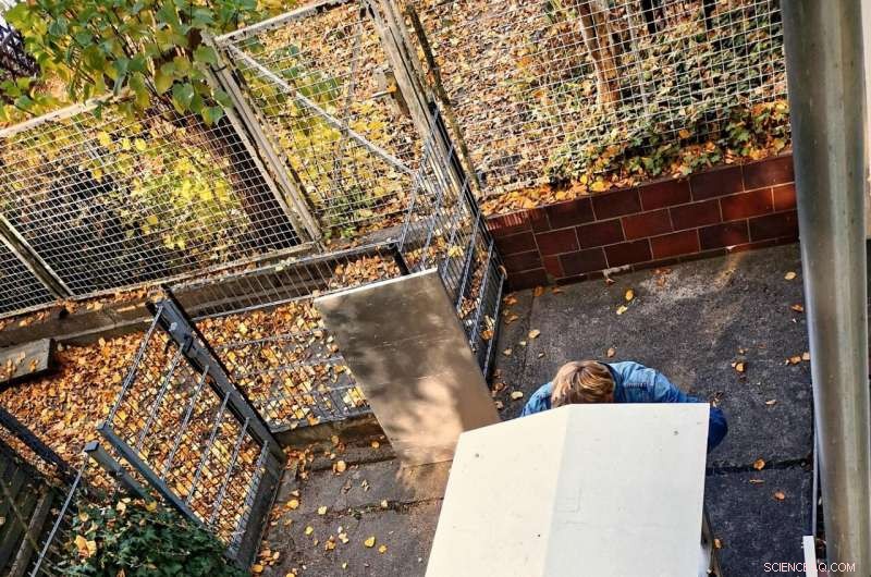 How Your Lifestyle Influences Ultrafine Particle Exposure at Home