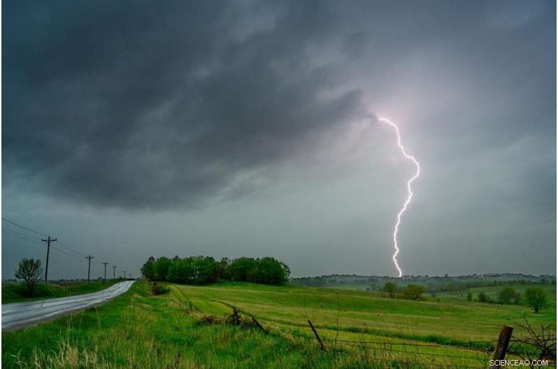 Spring Showers Reveal Surprising Pollen Sources