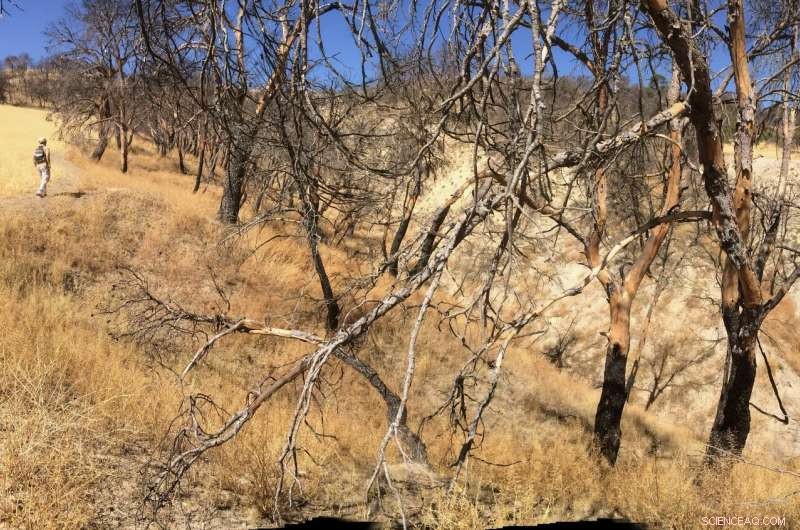 New Algorithm Forecasts Firefighting Difficulty for Better Response