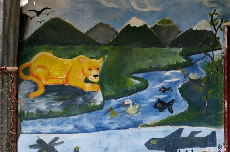 Life, Death, and the Litter Layer: Amazon s War on Drugs