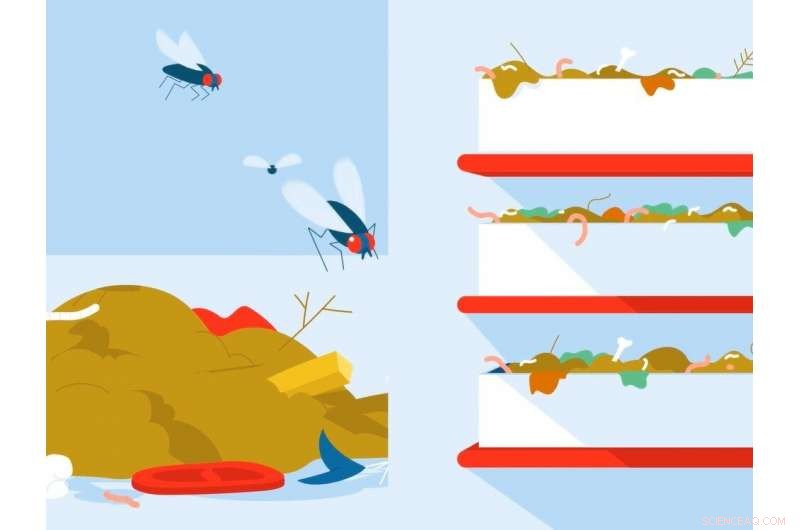 Will New Tech Make Insects a European Staple?