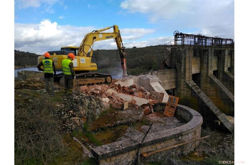 EU Biodiversity Strategy Accelerates Dam Removal Across Europe