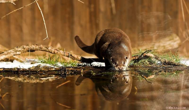 EU Biodiversity Strategy Accelerates Dam Removal Across Europe