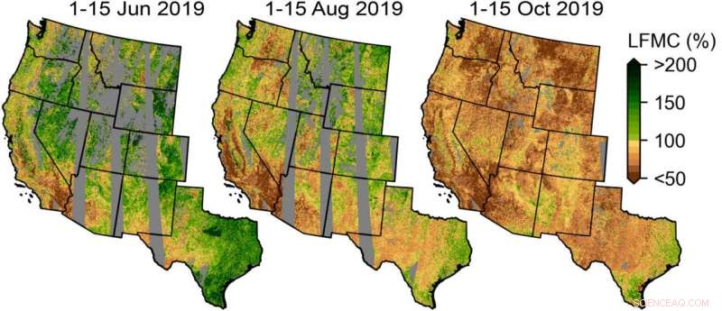 Using AI and Advanced Satellite Data to Map Dry Wildfire Fuels