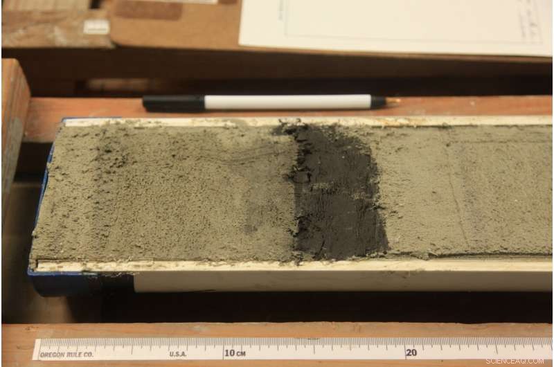 New Study Links Ancient Ocean Oxygen Levels to Shifts in Atmospheric CO₂