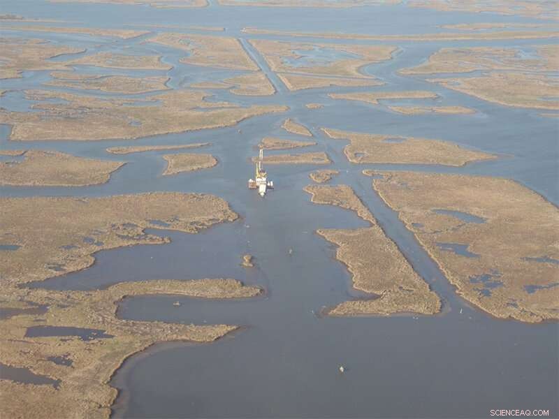 Study Reveals Mississippi Delta Marshes Facing Irreversible Collapse
