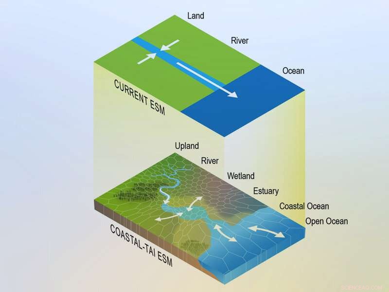 Linking Coastal Dynamics to Global System Models