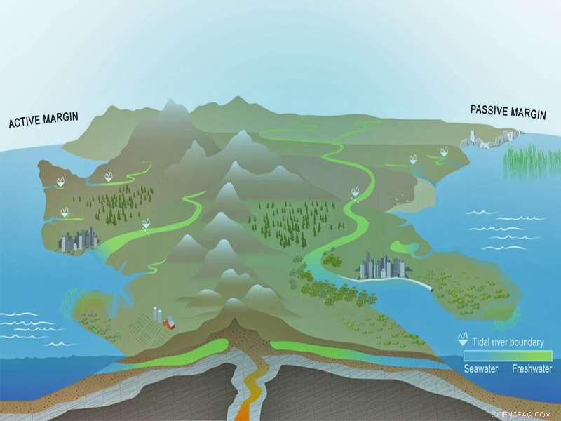 Linking Coastal Dynamics to Global System Models