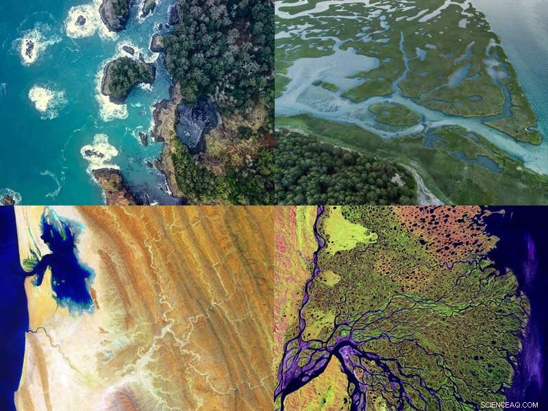 Linking Coastal Dynamics to Global System Models