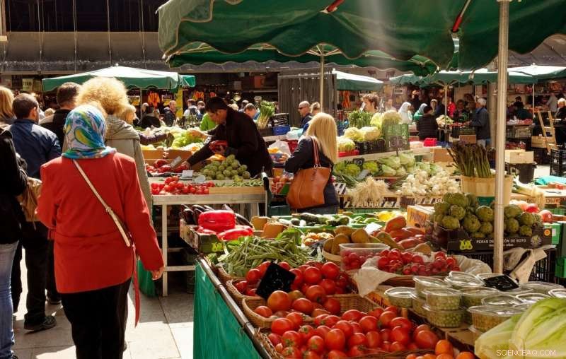 Feeding Cities Sustainably: The Power of Local, Plant‑Based Diets