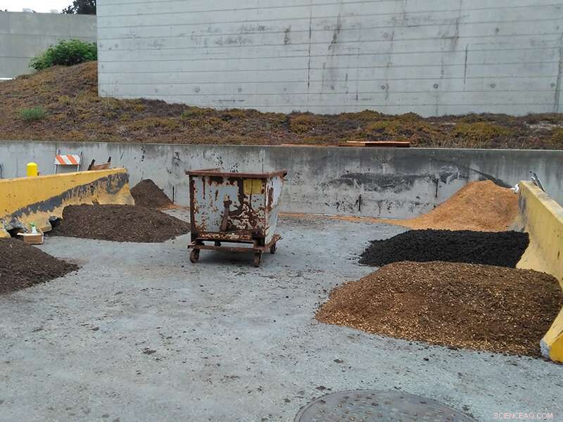 Turning Waste into Growth: How Biosolids Boost Plant Health