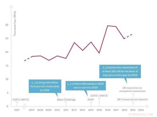 Why We Can t Stop Deforestation: Uncovering the Gaps in Global Action