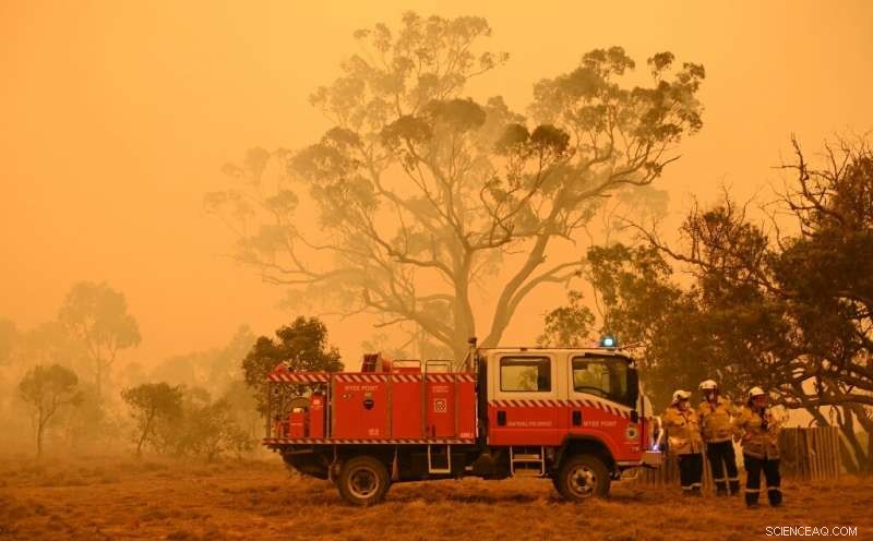 Australia Bushfire Smoke Causes Hundreds of Deaths, Study Finds