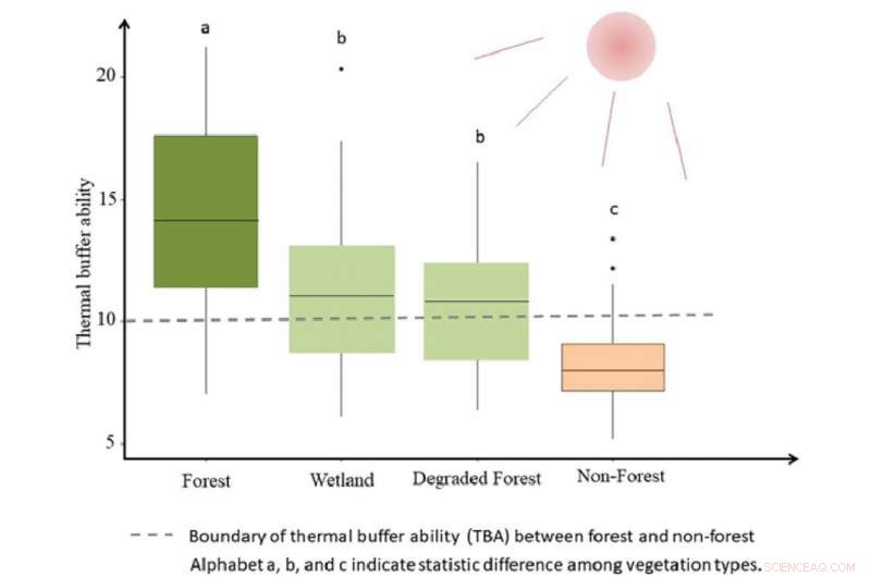 Forests Outperform Non-Forest Areas in Thermal Buffering