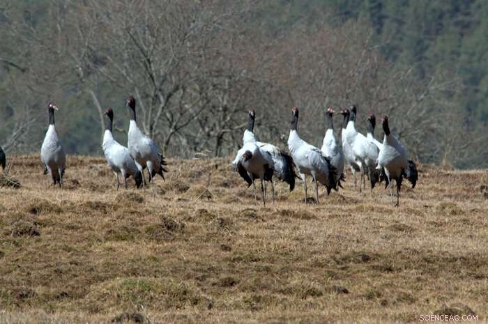 Protecting the Source of Asia s Three Great Rivers: A National Park Initiative