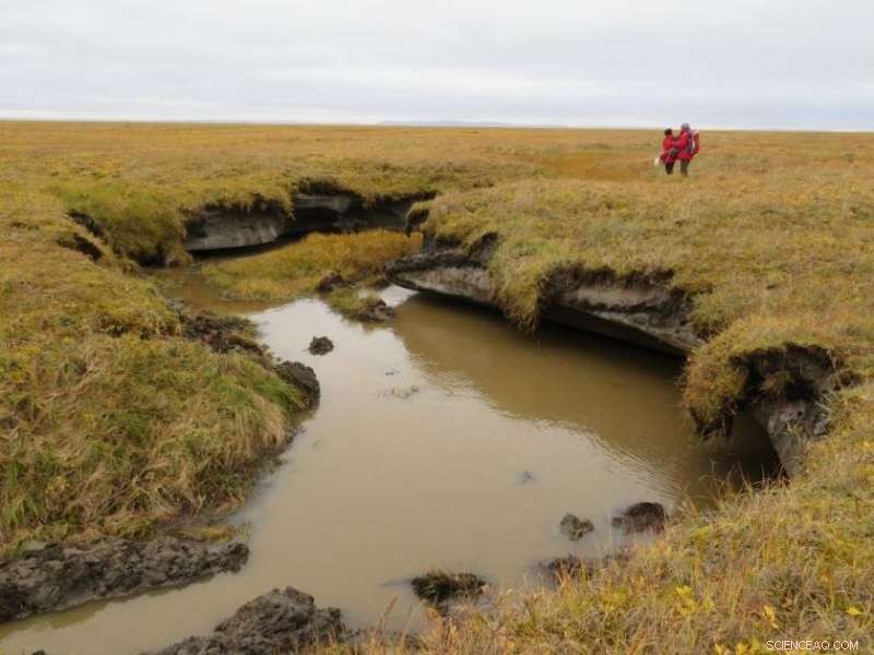 Arctic Permafrost May Thaw Faster Than Expected, New Study Finds