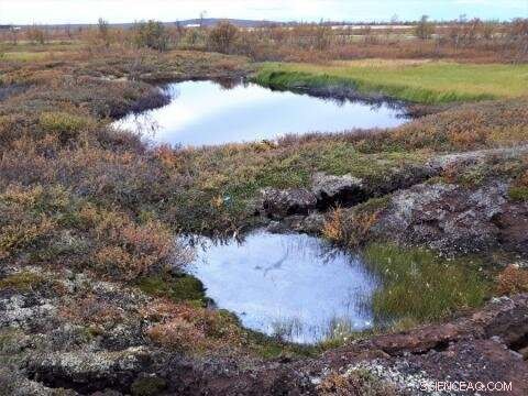 Arctic Permafrost May Thaw Faster Than Expected, New Study Finds