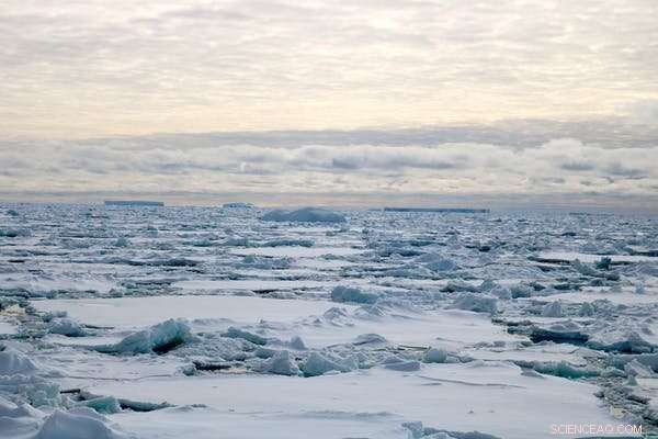 Antarctic Ice Shelves: Unveiling a Missing Piece of the Climate Puzzle