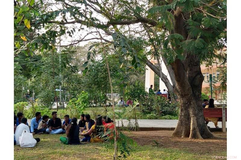 How Public Parks Promote Sustainable Well-Being in Urban Communities