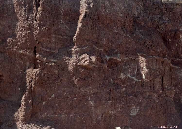 Mass Extinction 215 Mya: Asteroid and Climate Change Not to Blame, New Research Shows