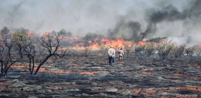 Australia: It’s Time to Empower Aboriginal Firekeepers to Restore Our Land