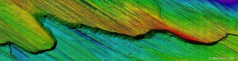 Antarctic Ice Shelves May Shrink 50 Meters Daily – New Study Highlights Urgent Climate Risks