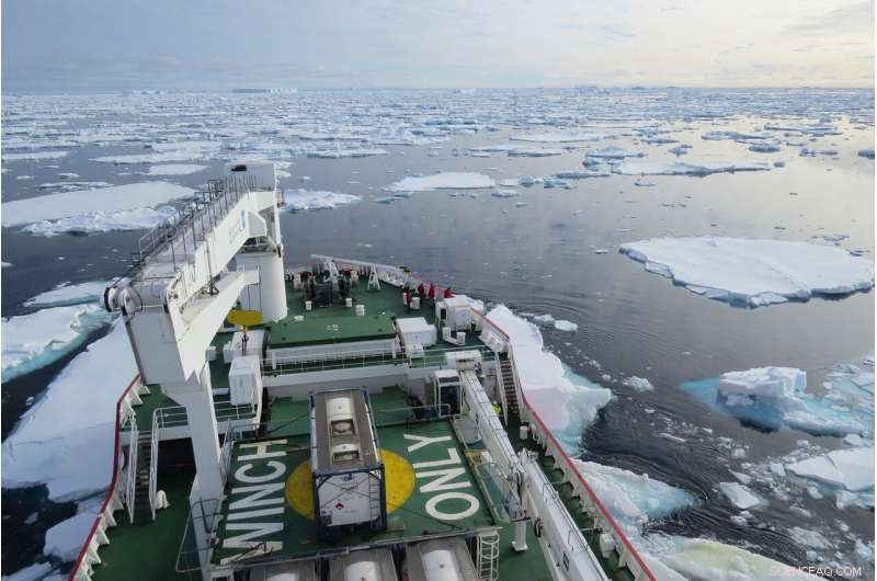 Antarctic Ice Shelves May Shrink 50 Meters Daily – New Study Highlights Urgent Climate Risks
