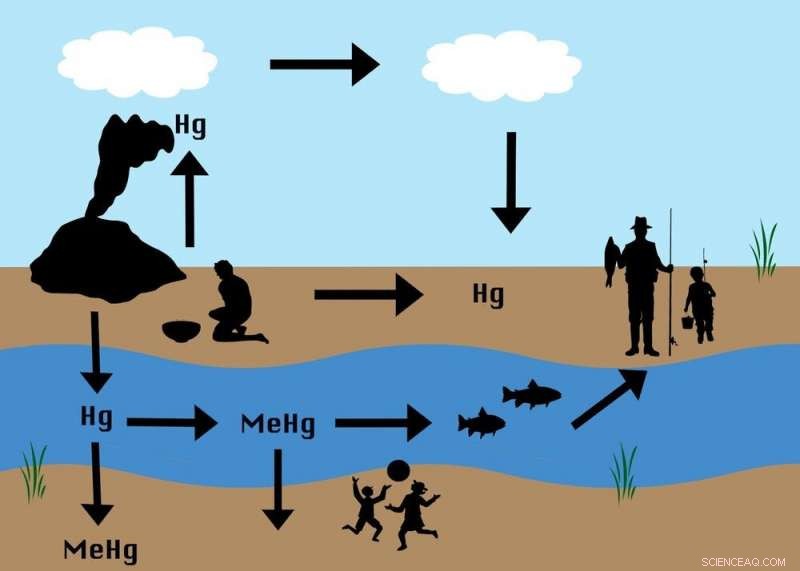 Enduring Toxic Fallout of Small-Scale Gold Mining: From 1860s California to Modern Peru