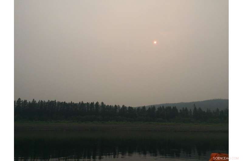 Wildfires May Permanently Alter Arctic Watersheds for Five Decades, New Study Finds