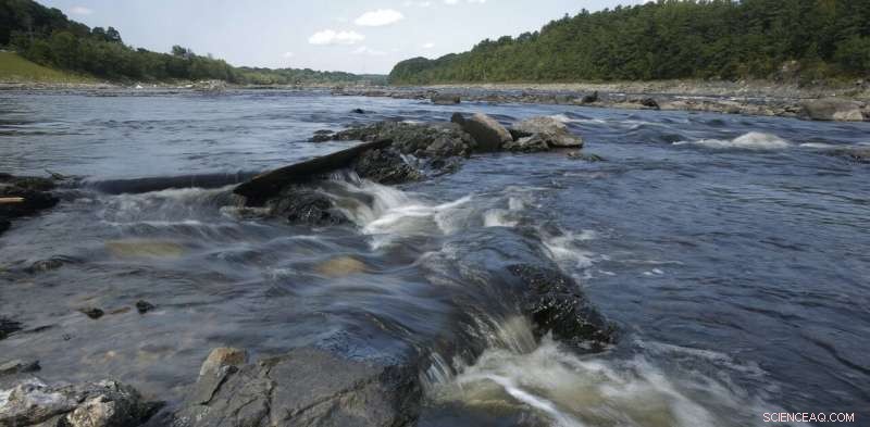 When Dams Do More Harm Than Good: How Removal Benefits Communities and Ecosystems