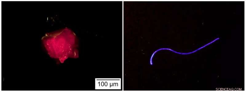 Storm Drives 40-Fold Surge in Microplastics in Sydney’s Cooks River