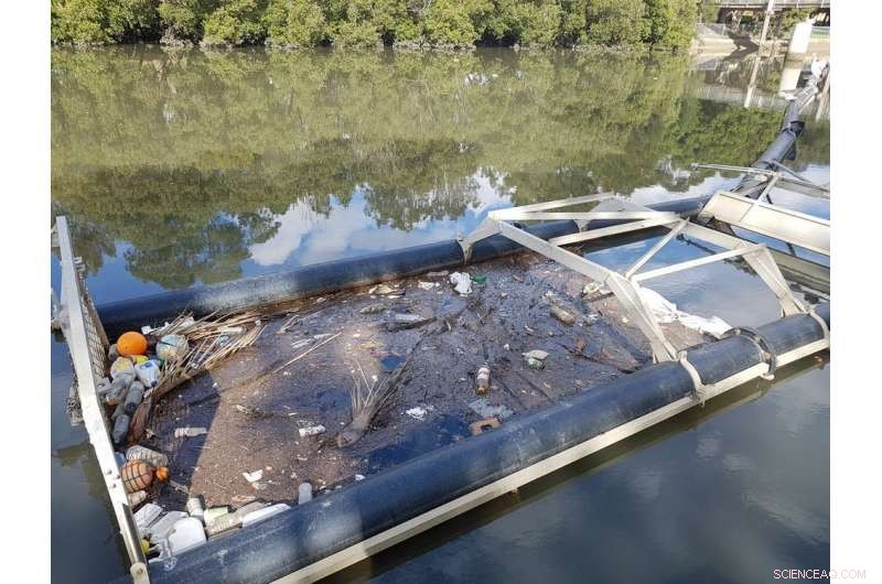 Storm Drives 40-Fold Surge in Microplastics in Sydney’s Cooks River