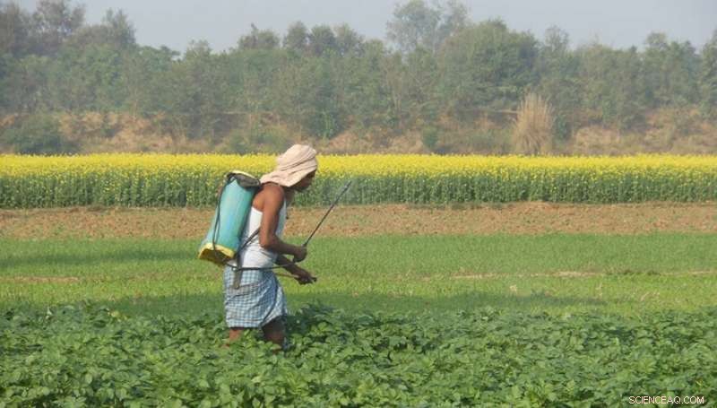 India Eliminates 27 Highly Toxic Pesticides, Protecting Farmers and Consumers