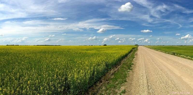 Investing in Canadian Farmland: A Smart Move During and Beyond COVID-19