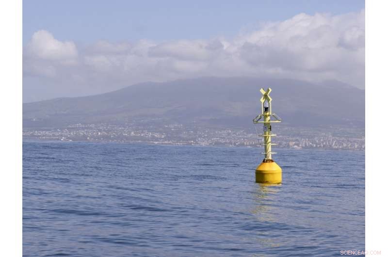 Cleaner Seas in Italy: How Fewer Tourists and Boats Improve Water Quality