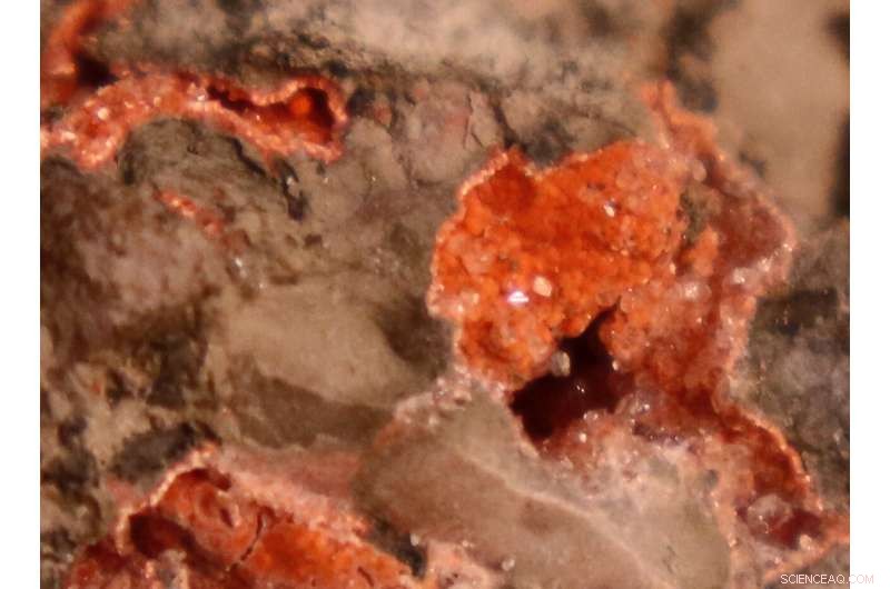 Chicxulub Crater: A Steaming Cauldron Persists After Dinosaur Extinction