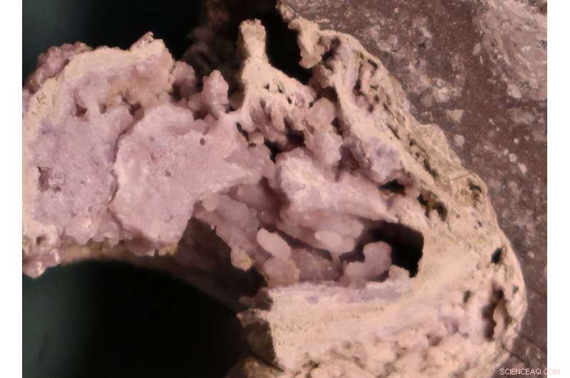 Chicxulub Crater: A Steaming Cauldron Persists After Dinosaur Extinction