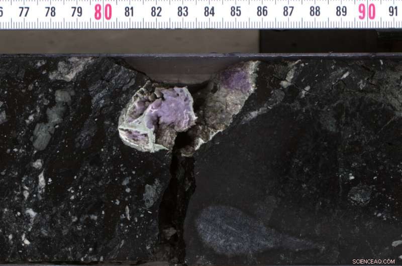 Chicxulub Crater: A Steaming Cauldron Persists After Dinosaur Extinction