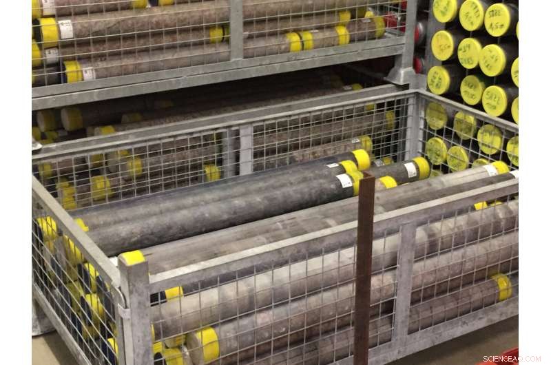 Chicxulub Crater: A Steaming Cauldron Persists After Dinosaur Extinction