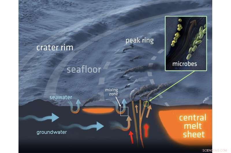 Chicxulub Crater: A Steaming Cauldron Persists After Dinosaur Extinction