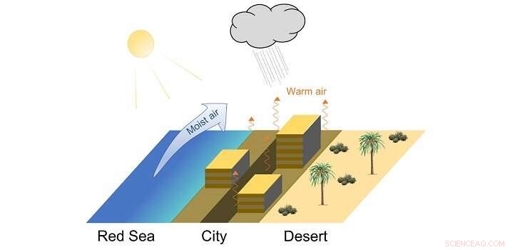 Urbanization Boosts Rainfall in Jeddah by 26% Over Surrounding Desert