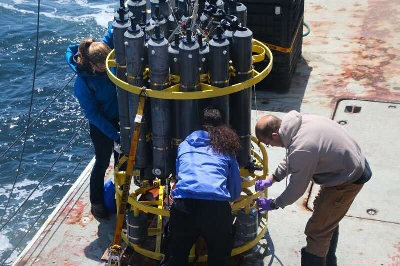 Scientists Map Ocean Acidification Across Coastal North America