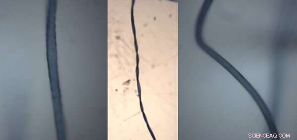 Is Plastic‑Free Fashion Truly Sustainable? Debunking the Myth