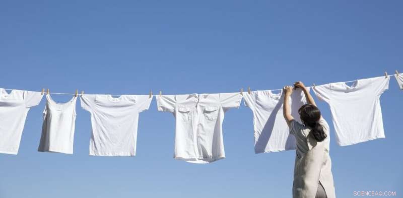 Is Plastic‑Free Fashion Truly Sustainable? Debunking the Myth