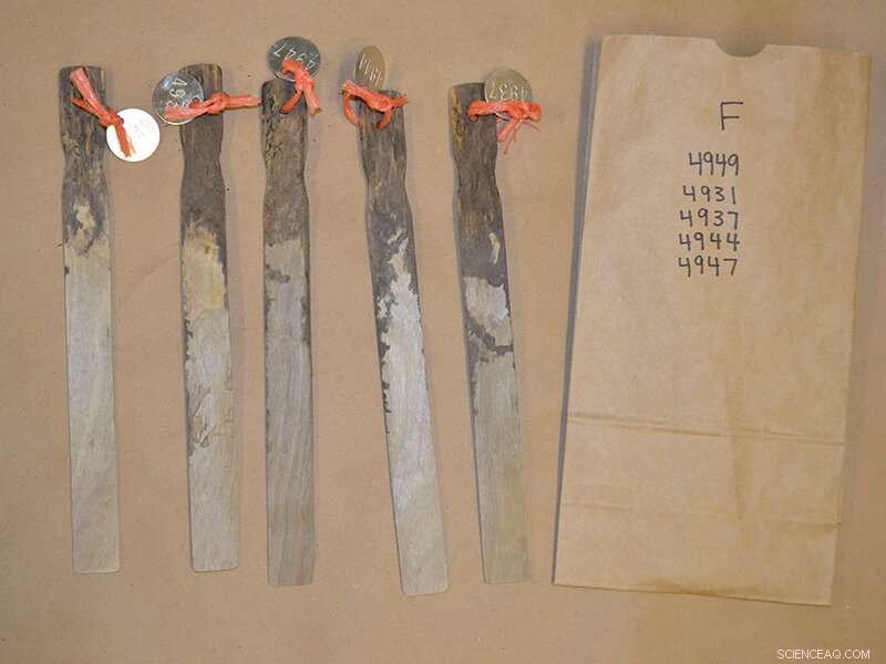 Unveiling Underground Water and Air Dynamics with IRIS Tubes