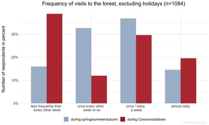 Swiss Forest Visits Impacted by COVID-19 Lockdown