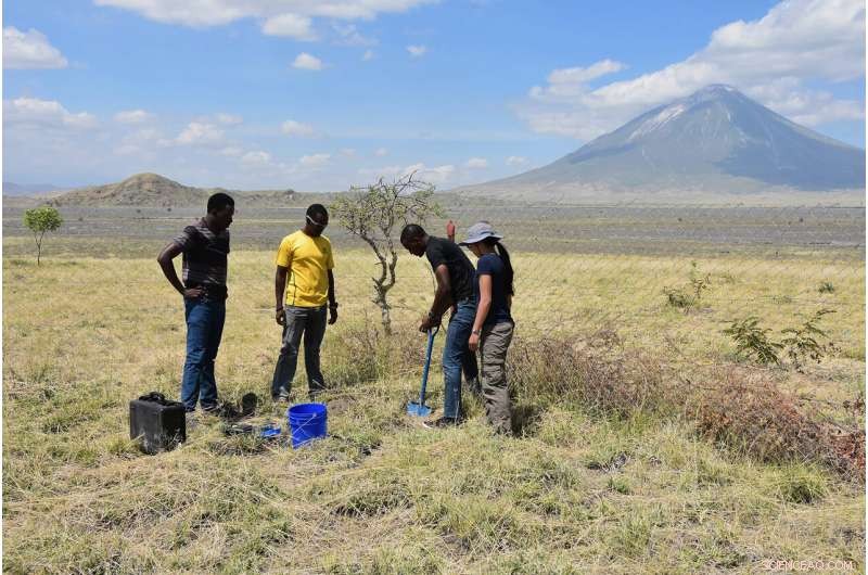 Scientists Reveal How Carbon Drives Continental Breakup