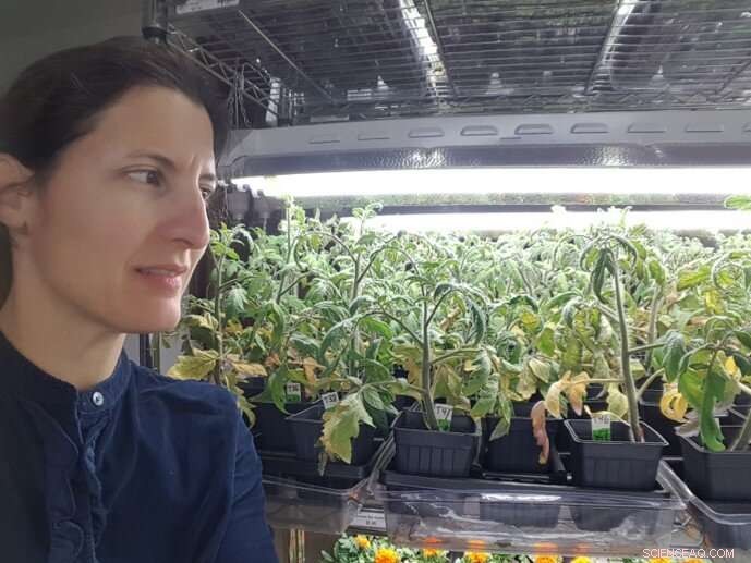 Human Waste as a Sustainable Fertilizer: A New Approach to Global Food Insecurity