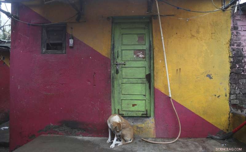 Cyclone Strikes India s Financial Capital, Evacuating 100,000 Residents